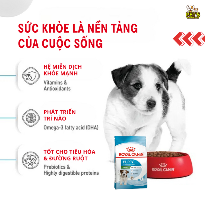 [800G - 2KG] Royal Canin Mini Puppy