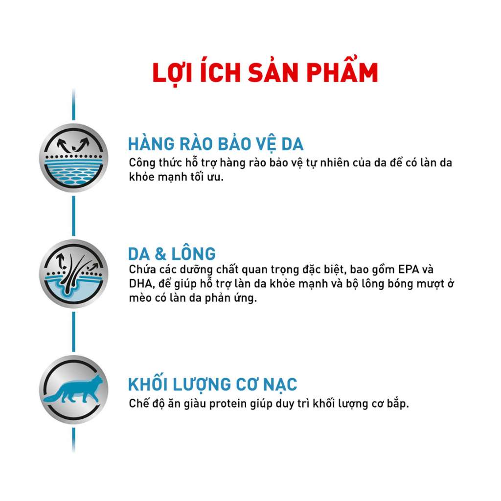 [1.5KG] Hạt Royal Canin Mèo Skin & Coat