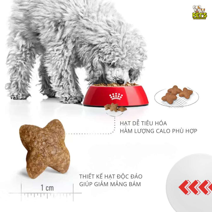 [800G-2KG] Hạt Royal Canin Chó Mini Adult
