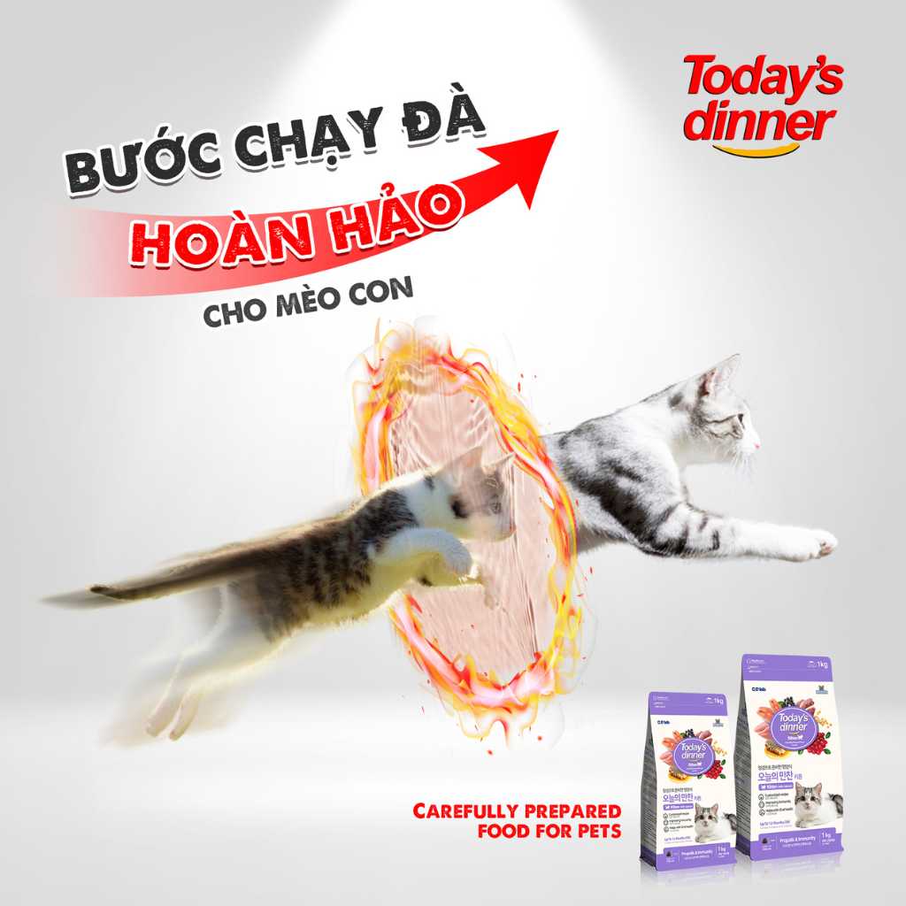 [1KG] Hạt Today's Dinner Mèo Mọi Lứa Tuổi