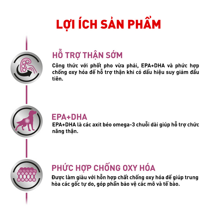 [2KG] Hạt Royal Canin Chó Renal