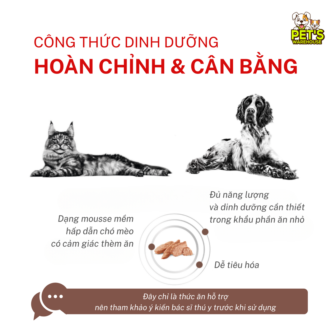 Pate Royal Canin Recovery Cho Chó Mèo, Lon 195g
