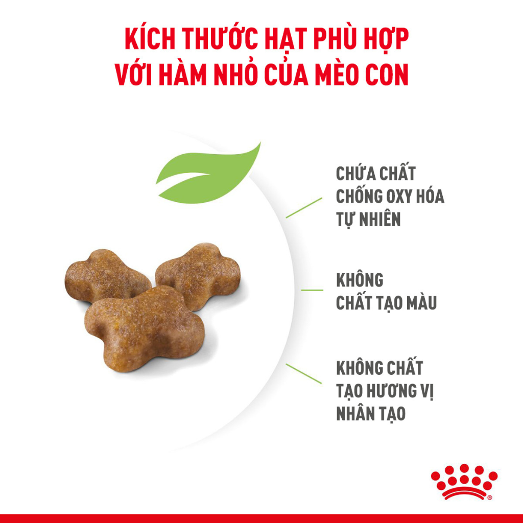 [400G - 2KG] Royal Canin Kitten