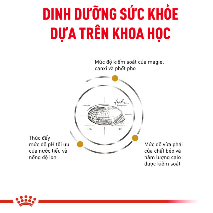 [1.5KG]Hạt Royal Canin Mèo Urinary S/O