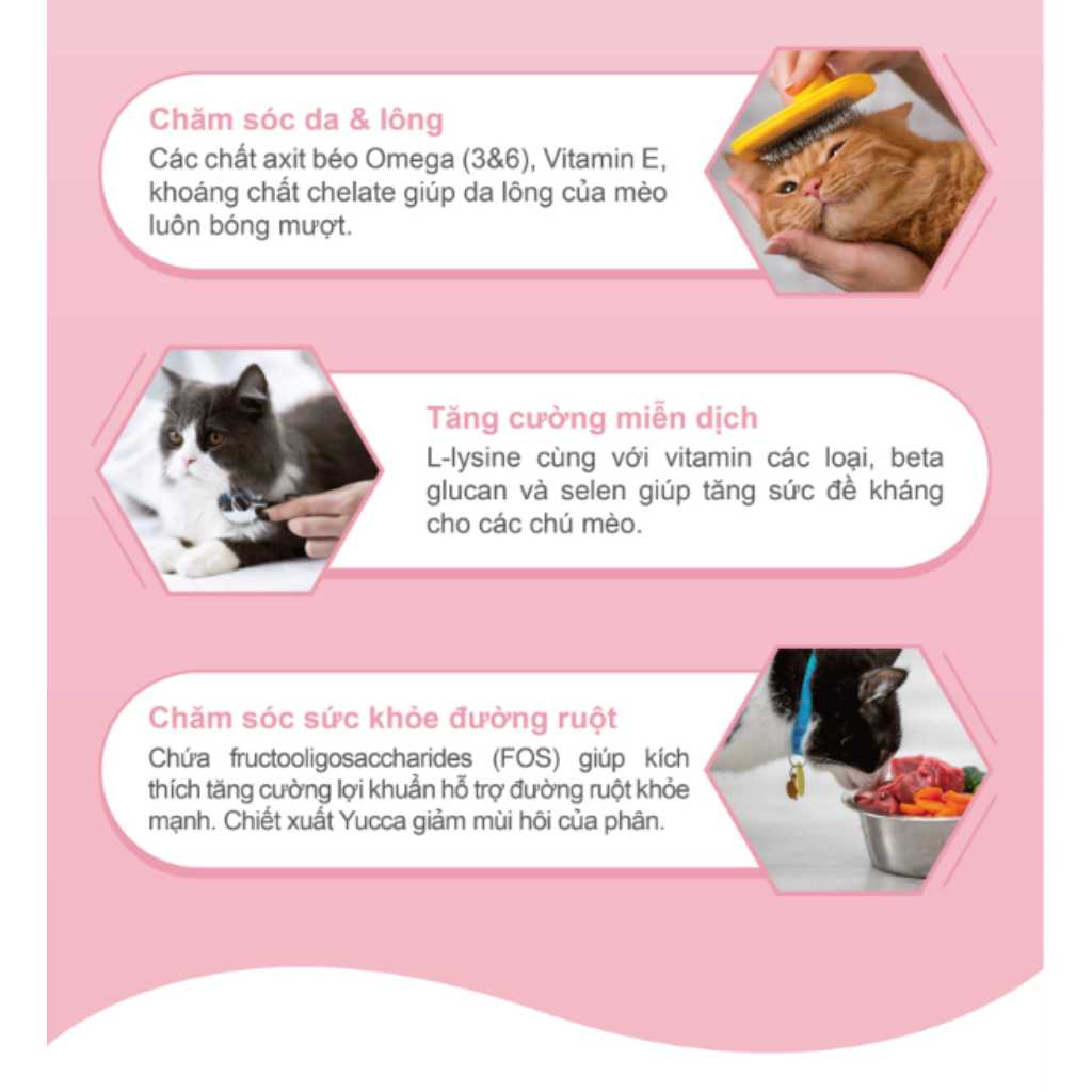 [2KG] Hạt Catsrang Mèo Lớn - Mèo Con