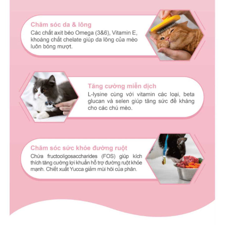 [2KG] Hạt Catsrang Mèo Lớn - Mèo Con