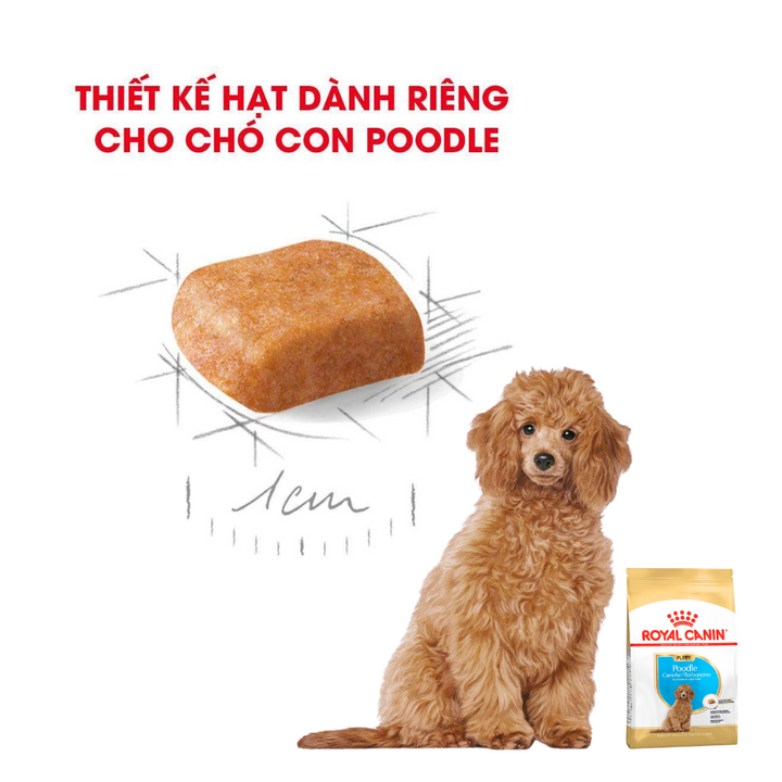 [500G-1.5KG] Royal Canin Poodle