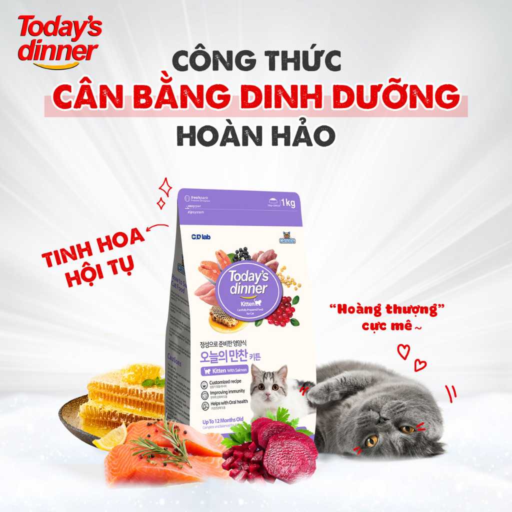 [1KG] Hạt Today's Dinner Mèo Mọi Lứa Tuổi
