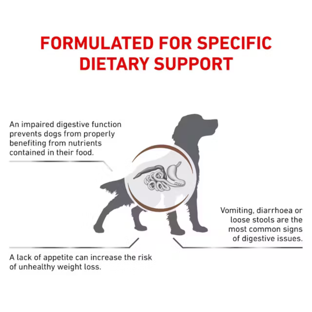 [2KG] Hạt Royal Canin Chó Gastrointestinal