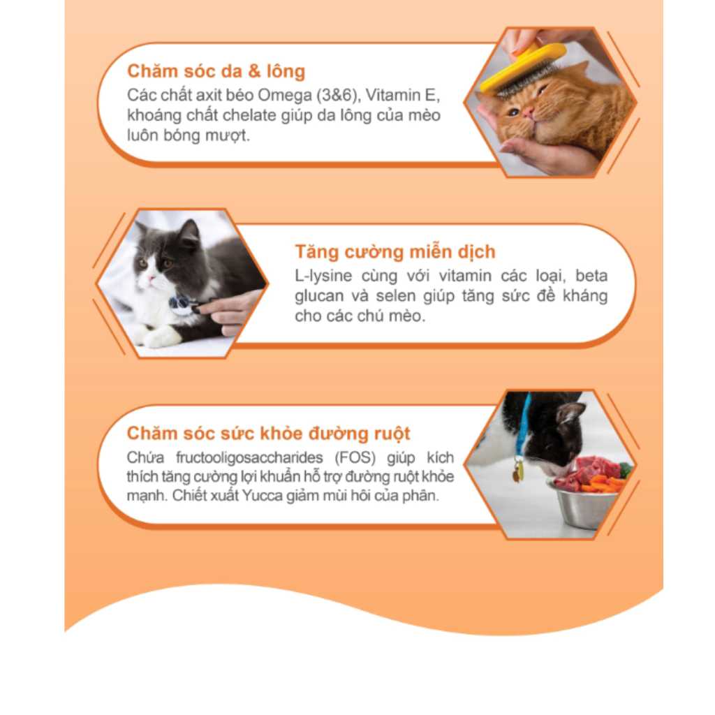 [2KG-5KG] Hạt Catsrang Mèo Mọi Lứa Tuổi