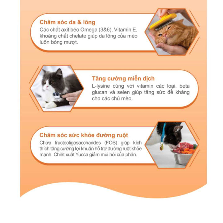 [2KG-5KG] Hạt Catsrang Mèo Mọi Lứa Tuổi