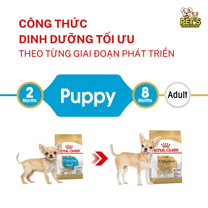 Hạt Cho Chó Chihuahua Royal Canin Chihuahua, Túi 1.5Kg