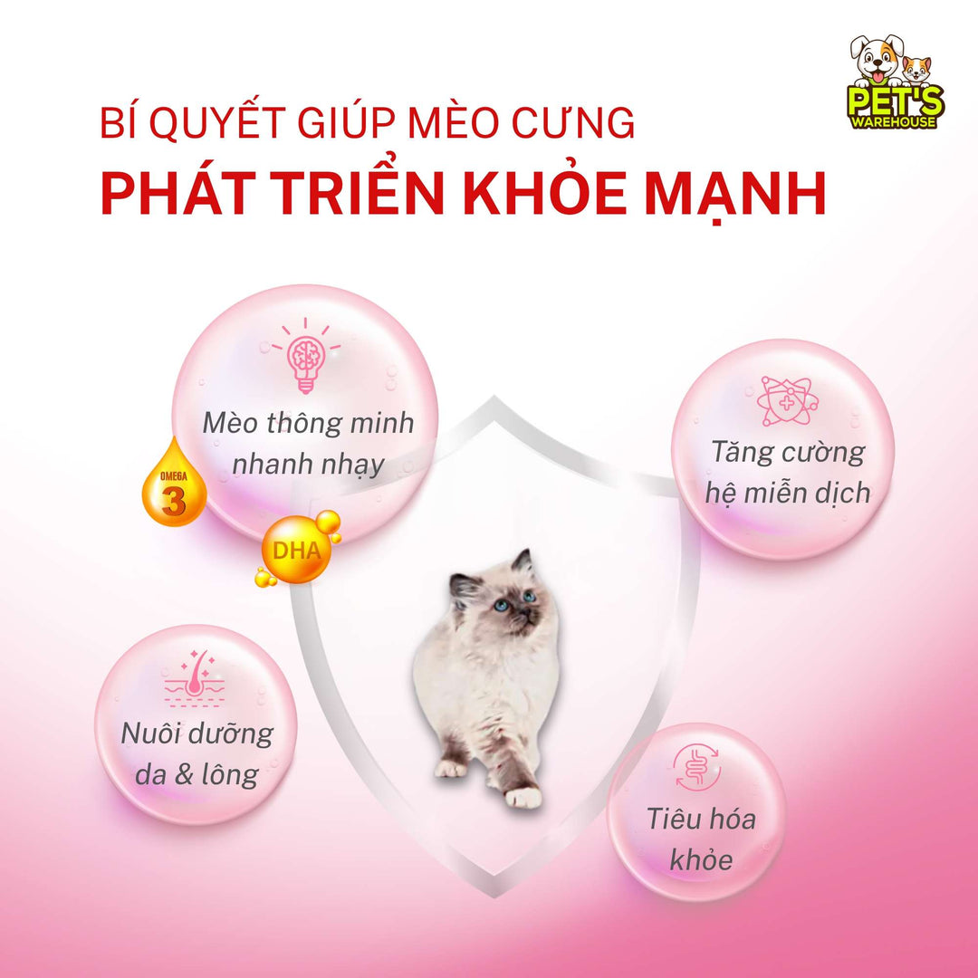 [Combo 3 - 12 Gói] Pate Mèo Con Royal Canin Kitten, Gói 85g