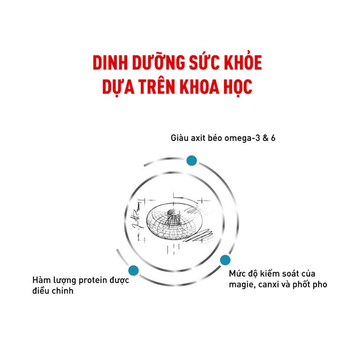 [1.5KG] Hạt Royal Canin Mèo Skin & Coat