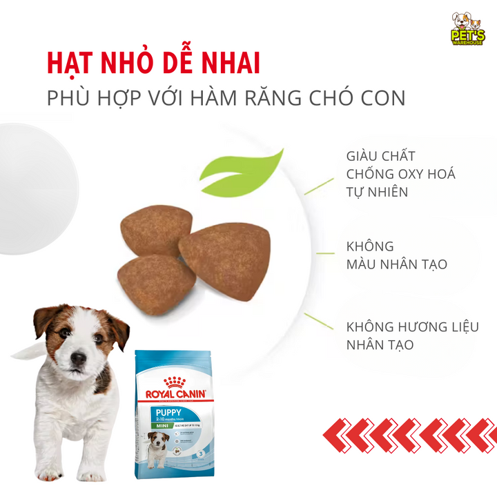 [800G - 2KG] Royal Canin Mini Puppy