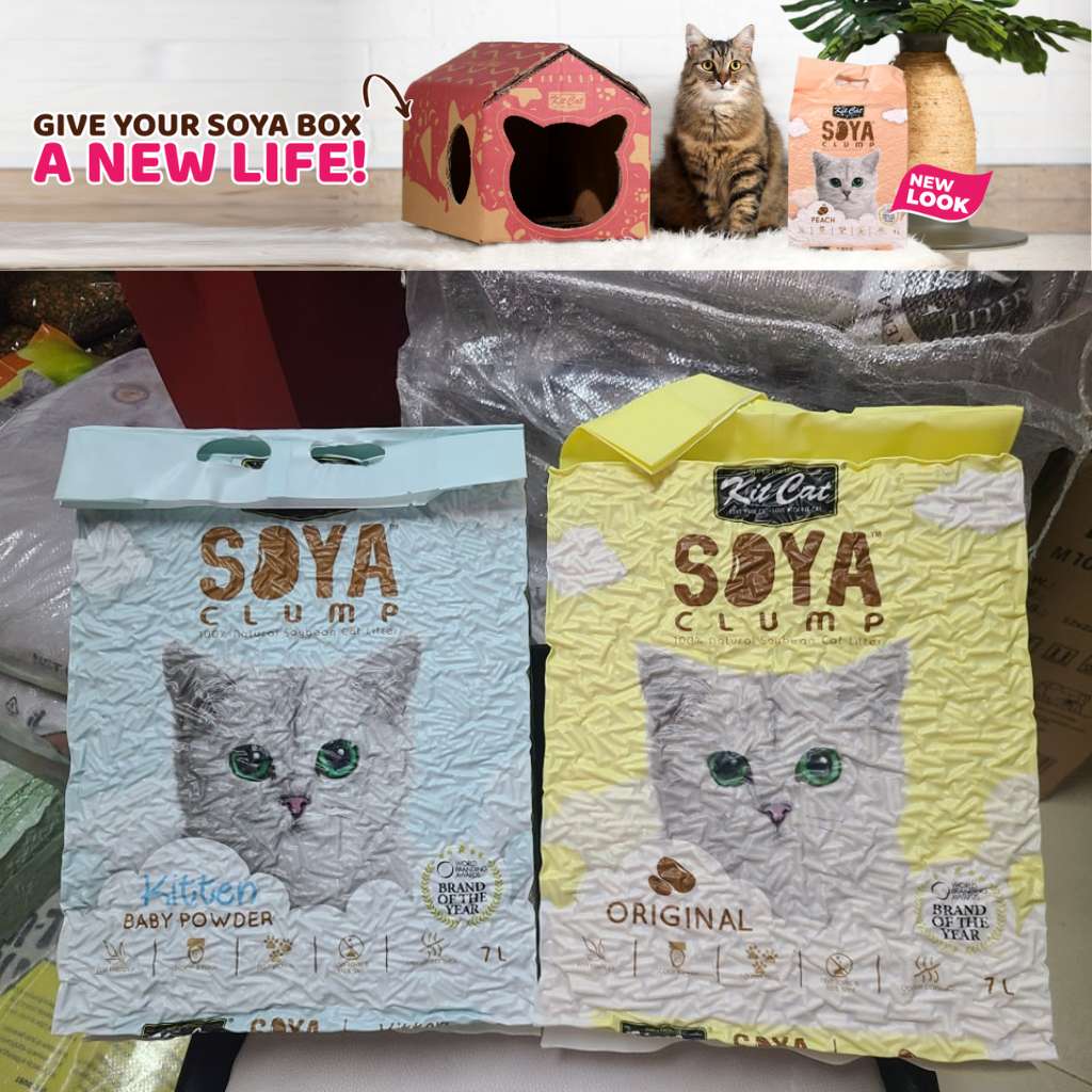 [7L] Cát Đậu Nành Kit Cat Mèo | Pet's Warehouse