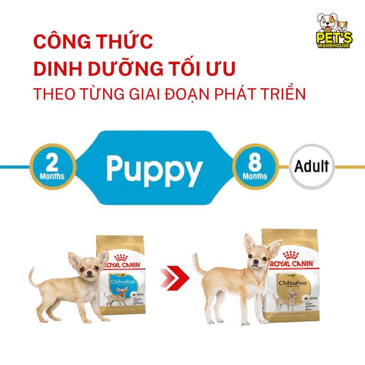 Hạt Cho Chó Chihuahua Royal Canin Chihuahua, Túi 1.5Kg