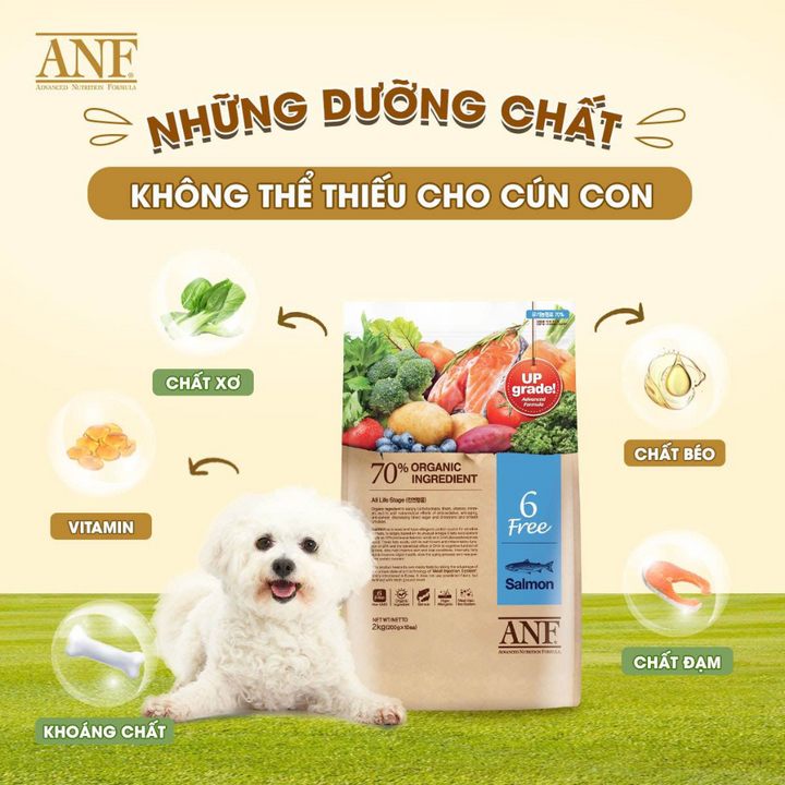 [2KG - 6KG] Hạt Anf 6Free Chó Trên 6 Tháng Tuổi