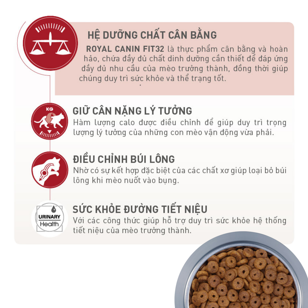 [400G - 2KG] Hạt Royal Canin Mèo Fit 32