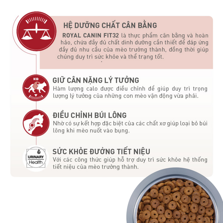[400G - 2KG] Hạt Royal Canin Mèo Fit 32