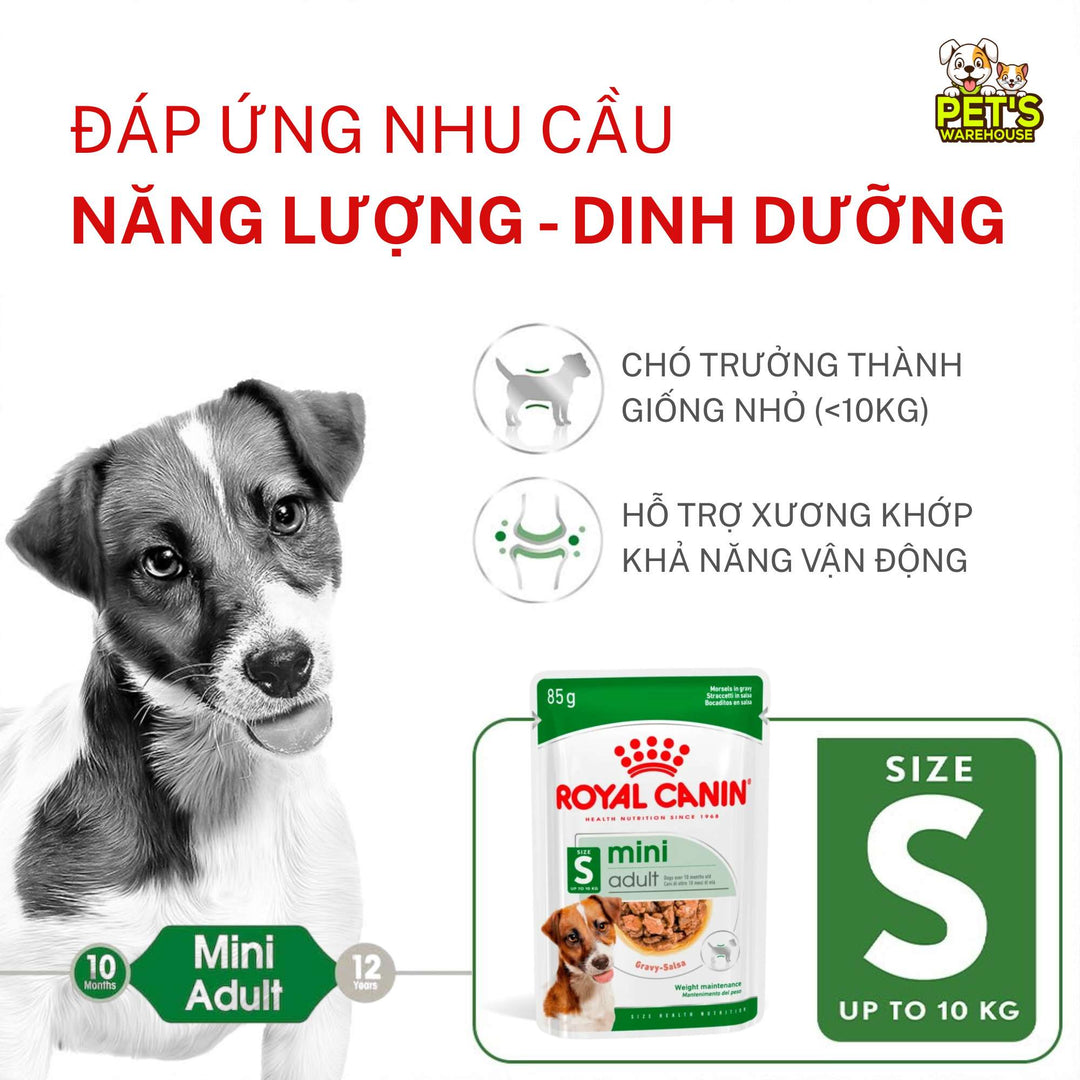 [Combo 3 - 12 Gói] Pate Royal Canin Cho Chó, Gói 85g