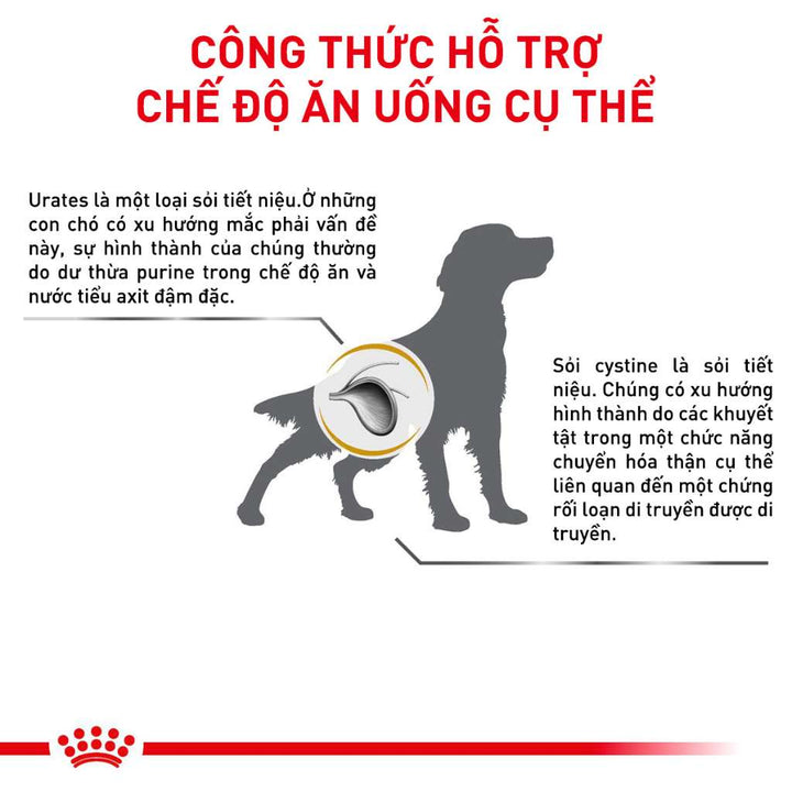 [2KG] Hạt Royal Canin Chó Urinary S/O