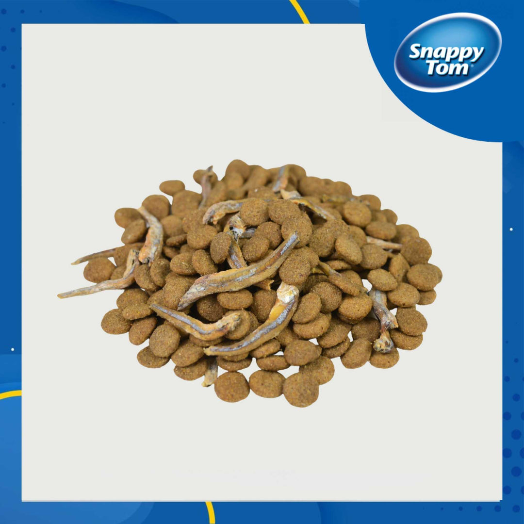 [Combo 2 - 4 túi] Hạt Snappy Tom Mèo, 1.5KG