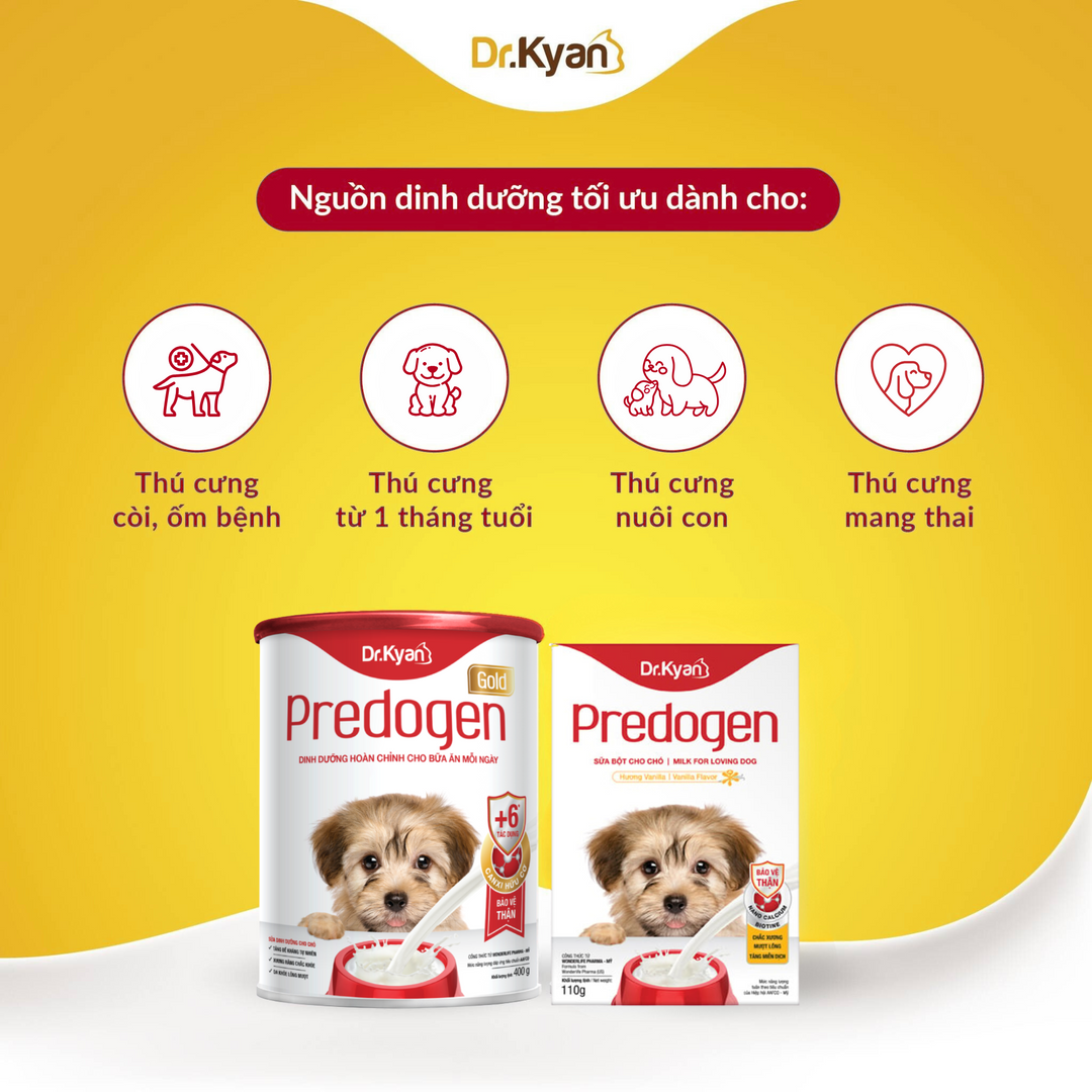 [110G - 400G] Sữa Bột Dr.Kyan Predogen Gold Cho Chó