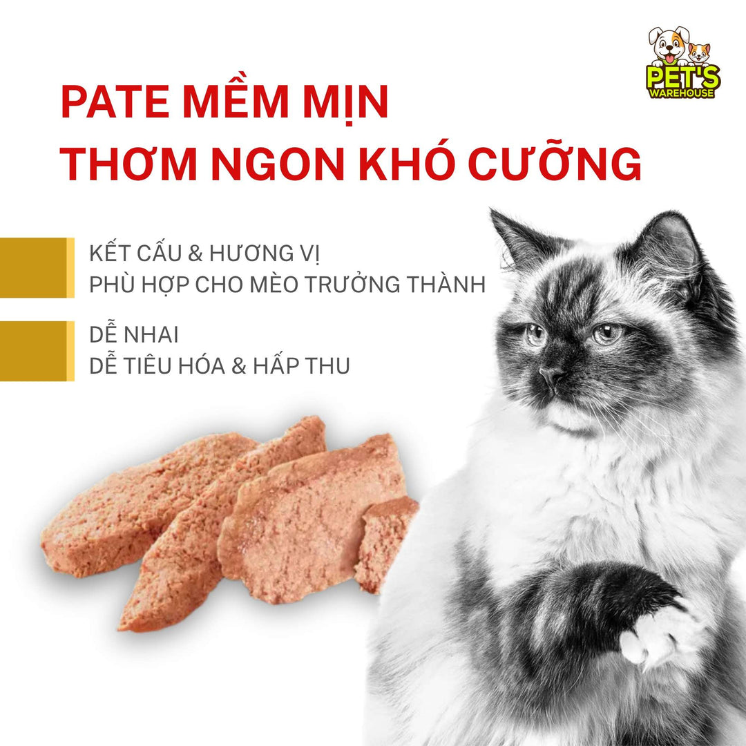 [Combo 3 - 12 Gói] Pate Mèo Royal Canin Urinary S/O, Gói 85g
