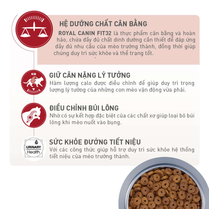 [400G - 2KG] Hạt Royal Canin Mèo Fit 32