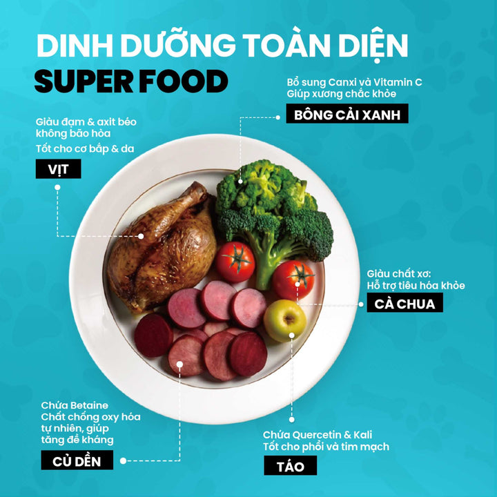 hat-cho-Fine-Dining-pets-warehouse