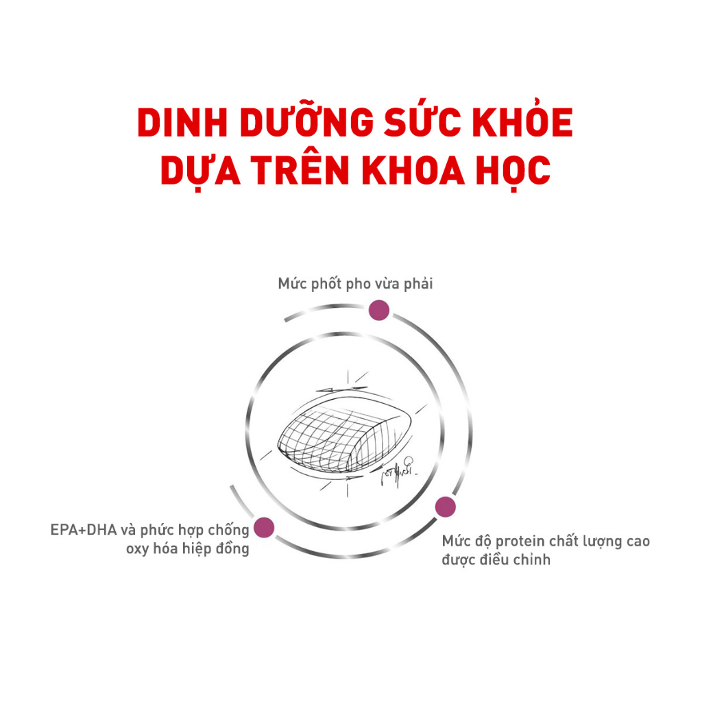 [2KG] Hạt Royal Canin Chó Renal