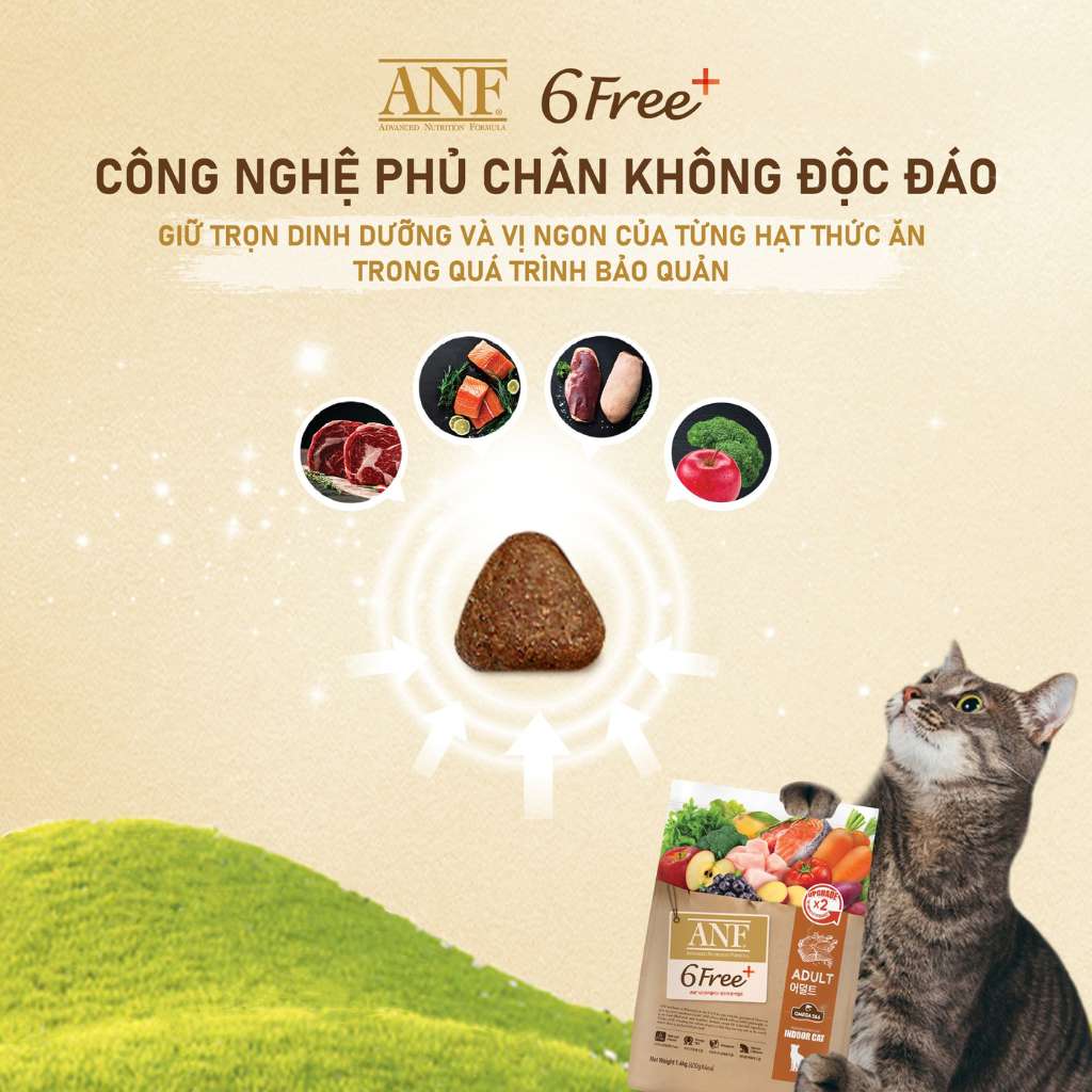 [1.6KG - 5.6KG] Hạt Anf 6Free+ Cao Cấp Mèo