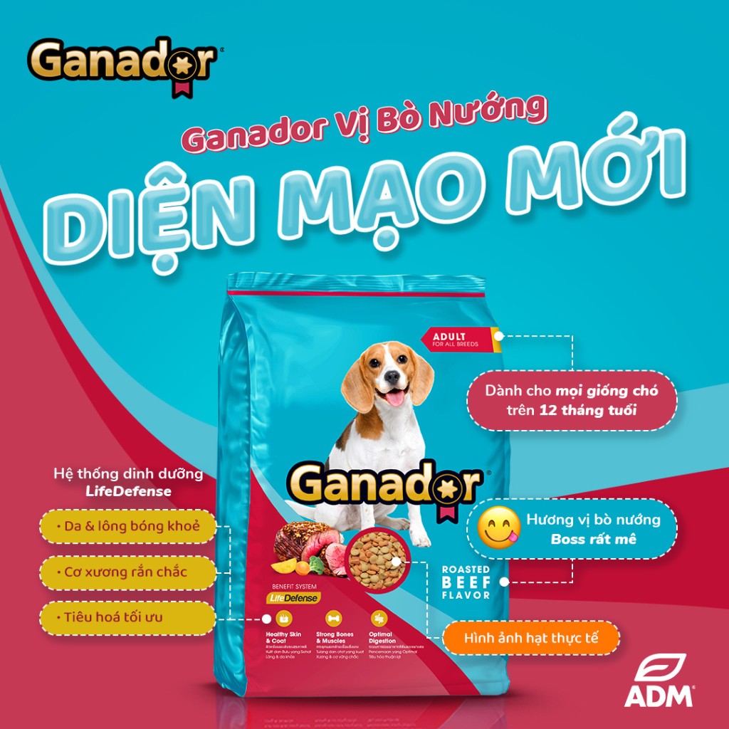 [Combo 4 Gói] Hạt Ganador Cho Chó Mọi Lứa Tuổi – Nhiều Vị Ngon, Túi 400g