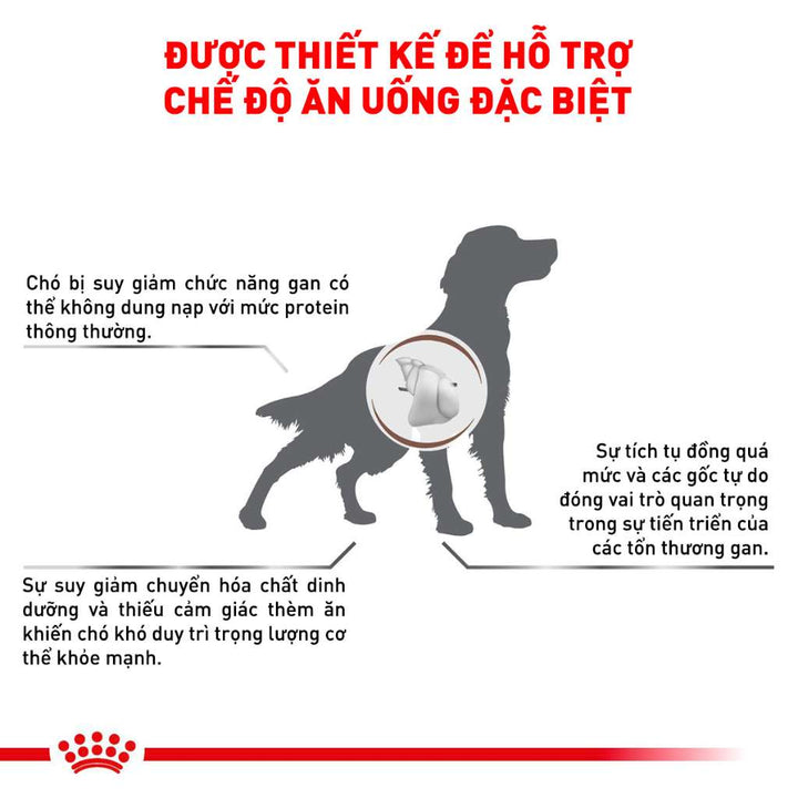 [1.5KG] Hạt Royal Canin Chó Hepatic