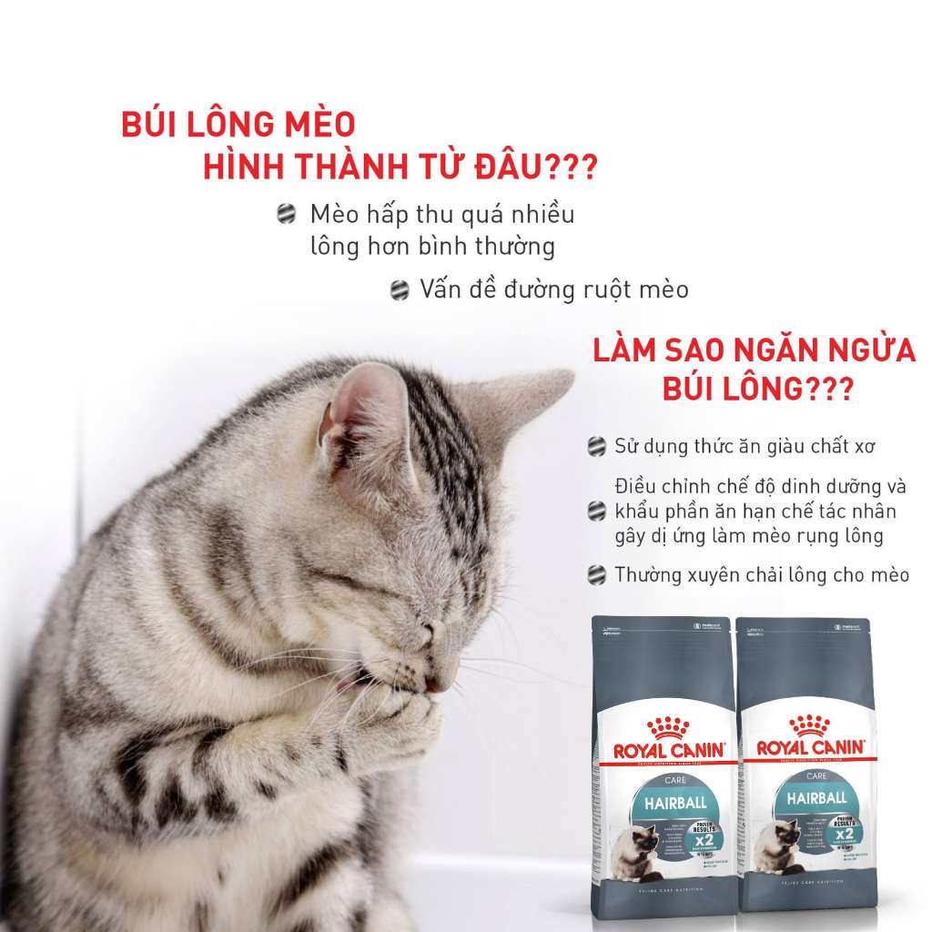 [400G-2KG] Hạt Royal Canin Mèo HairBall
