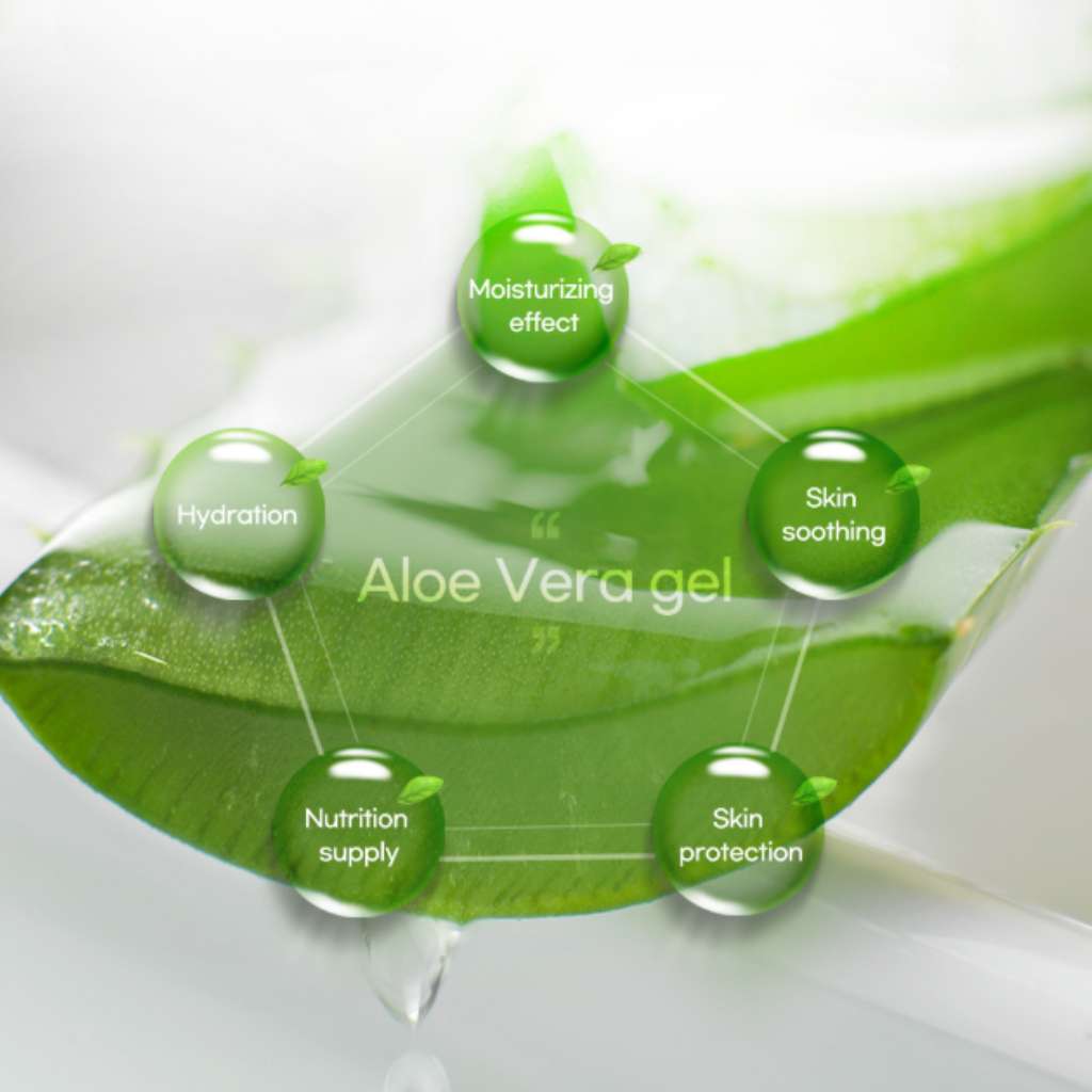 [750ML] Sữa Tắm Forcans Hàn Quốc Chó Mèo