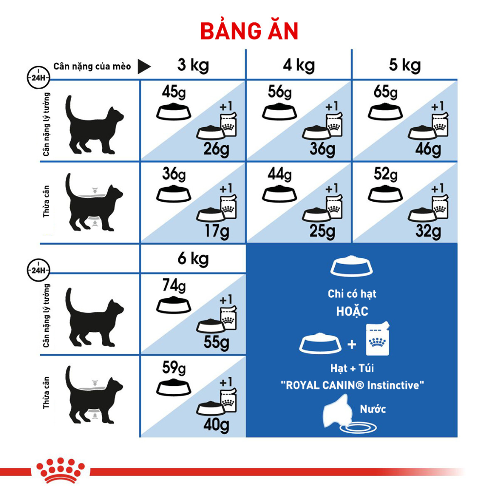 [400G - 2KG] Hạt Royal Canin Mèo Indoor