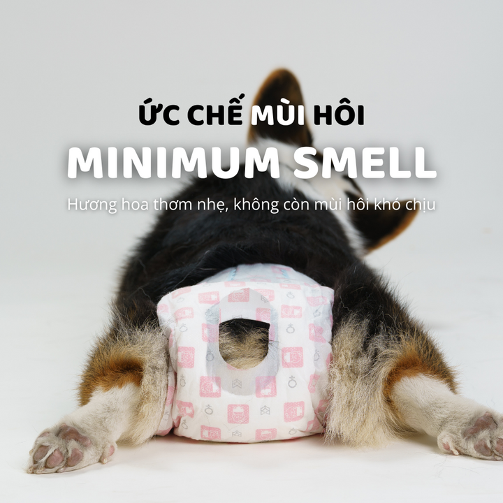Tã Quần Fofos Chó Cái Mọi Lứa Tuổi