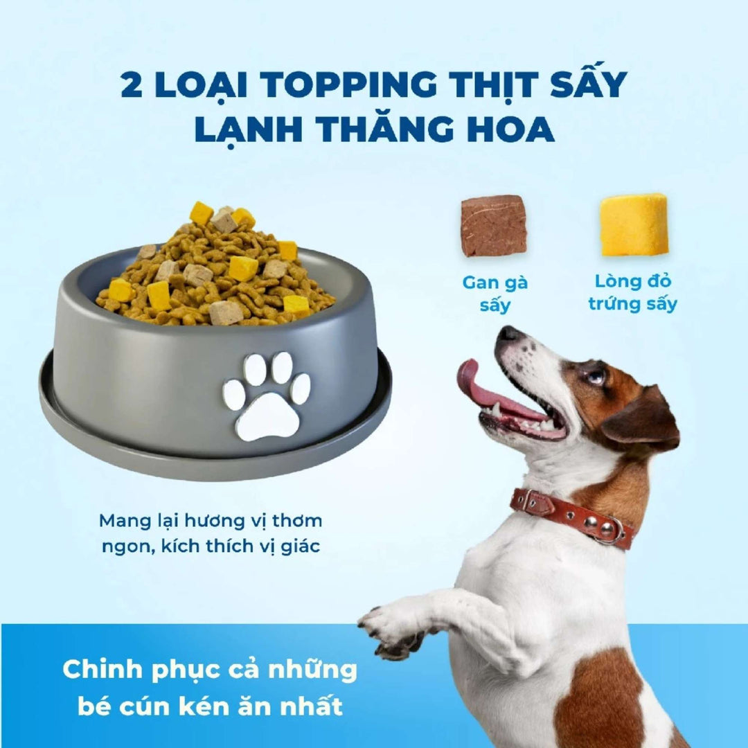 Hạt Mr.Vet D1 Hỗ Trợ Tiêu Hóa Cho Chó Mọi Lứa Tuổi, Công Thức Thịt Cừu Non, Túi 1.4Kg