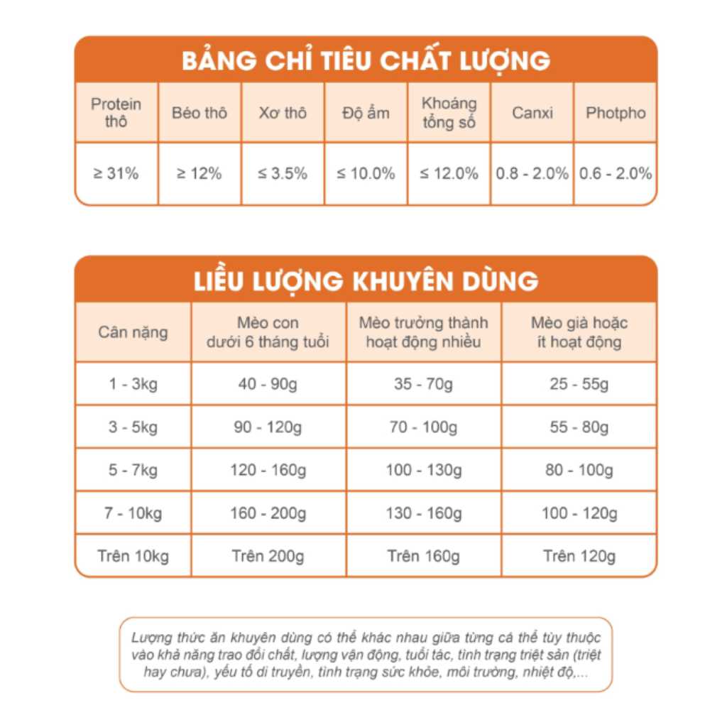 [2KG-5KG] Hạt Catsrang Mèo Mọi Lứa Tuổi