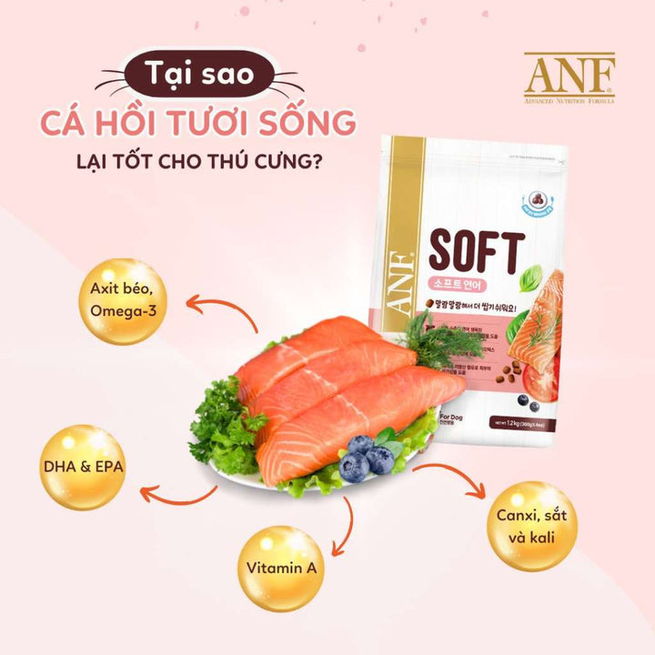 [1.2KG] Hạt Anf Soft Chó Mọi Lứa Tuổi