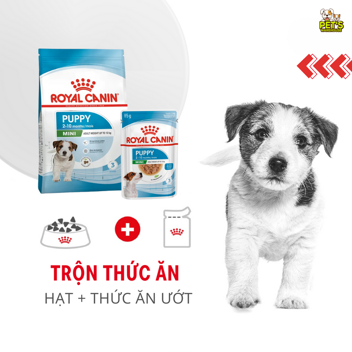 [800G - 2KG] Royal Canin Mini Puppy