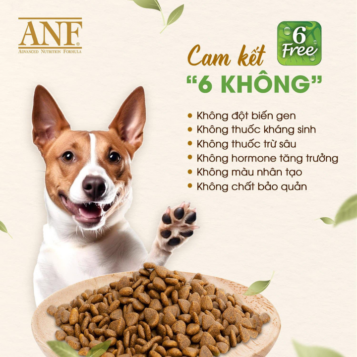 [2KG - 6KG] Hạt Anf 6Free Chó Trên 6 Tháng Tuổi