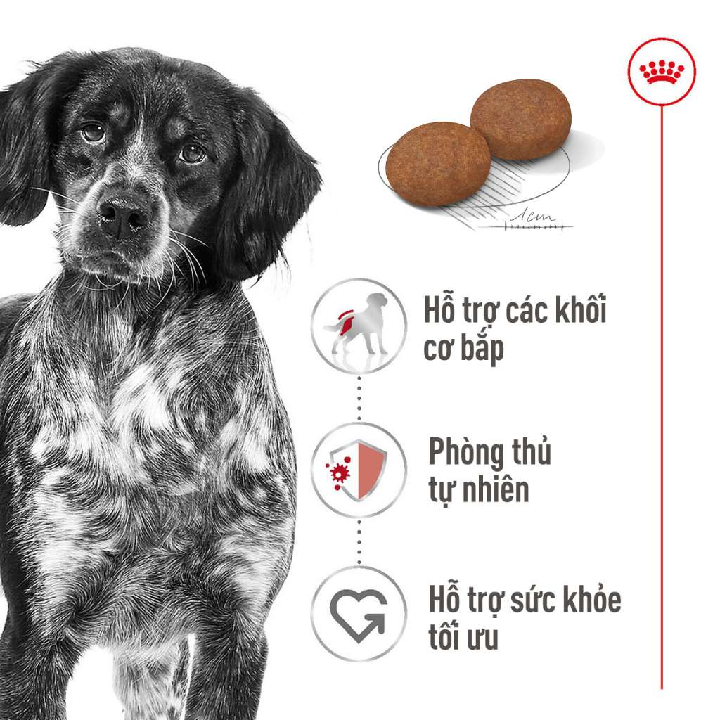 [1KG-4KG] Hạt Royal Canin Medium Chó | Pet's Warehouse
