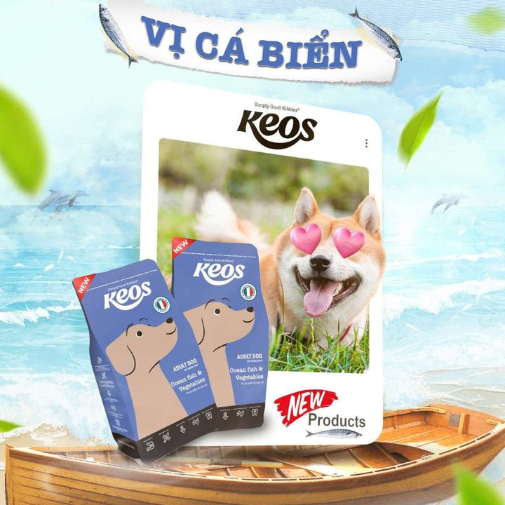 [400G] Hạt Keos Chó Mọi Lứa Tuổi | Pet's Warehouse