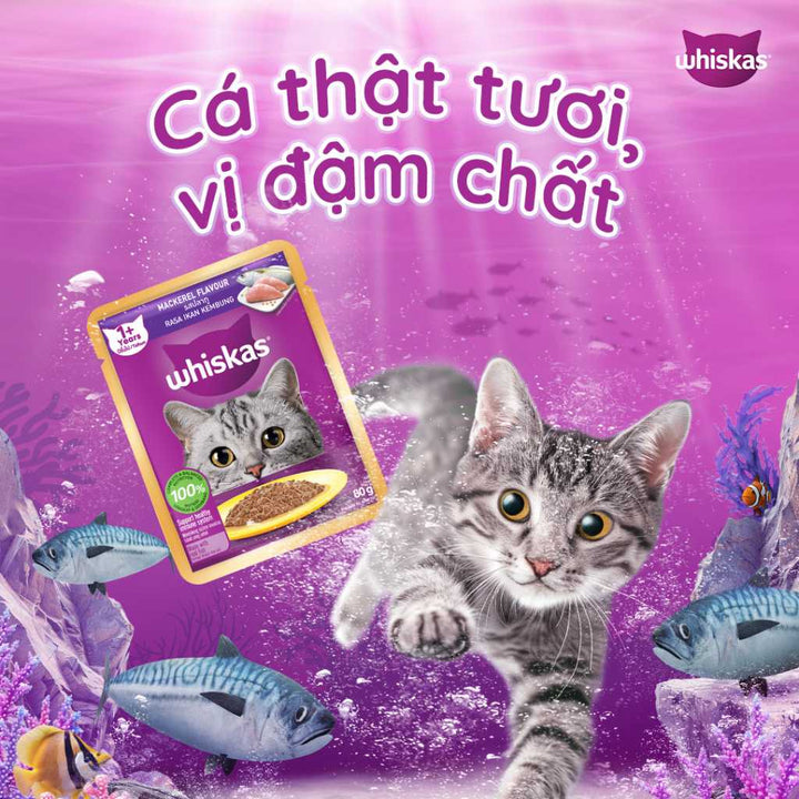 [Combo 14 gói] Pate Whiskas Mèo Trưởng Thành Gói 80G