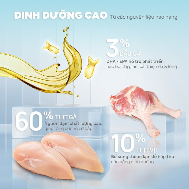 Thức Ăn Hạt Donut D90K D90 PetQ Cho Mèo, 200G