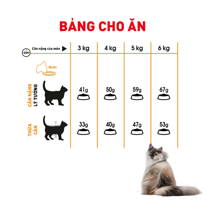[400G - 2KG] Hạt Royal Canin Mèo Hair & Skin