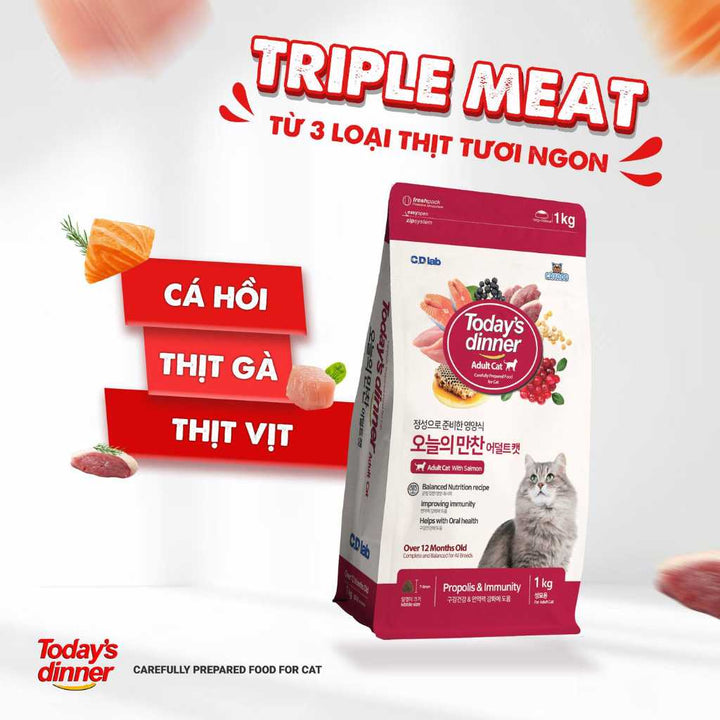 [1KG] Hạt Today's Dinner Mèo Mọi Lứa Tuổi